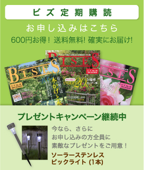 ビズ定期購読　お申し込みはこちら