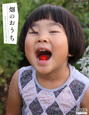 『畑のおうち』